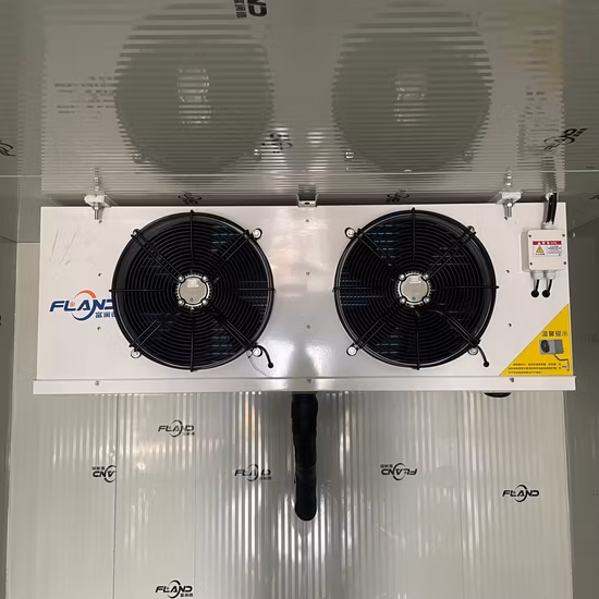 Холодильная машина шоковой заморозки и морозильная камера для отелей и ресторанов