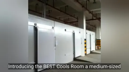 Морозильник для холодильной камеры для мяса, Холодильная камера, Камера шоковой заморозки